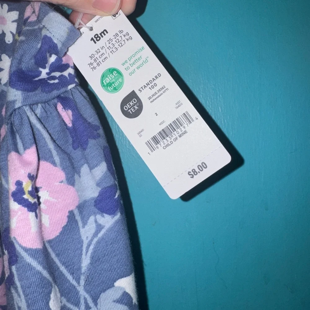 Carter's Blue and Pink Floral Dress - Picture 5 of 6